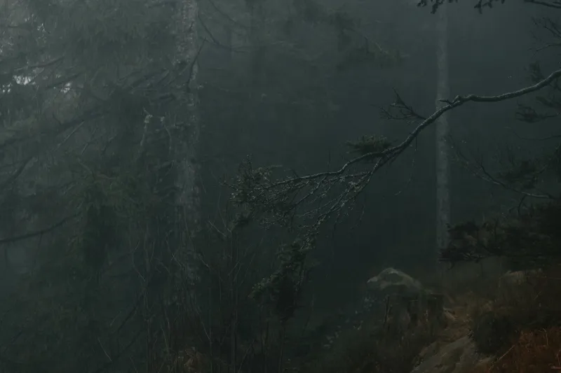 The Mountains Called It First: How Appalachian Folk Music Wrote the Rules of Horror Long Before Hollywood Showed Up