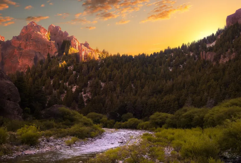 Axes, Hammers, and Lassos: The Dream Playlists of America's Mightiest Folk Heroes