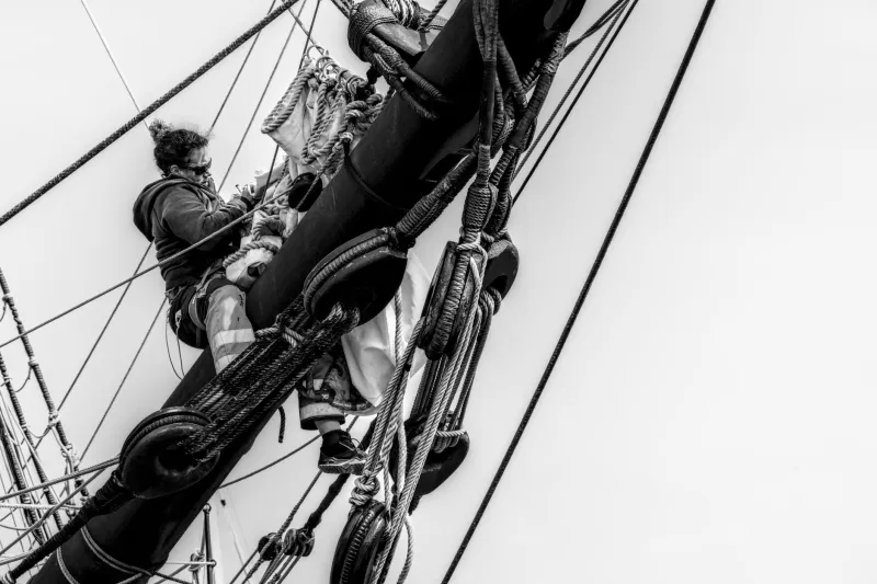 Pull Hard, Sing Loud: How Sea Shanties Carried the Ocean's Oldest Monsters Into American Ports