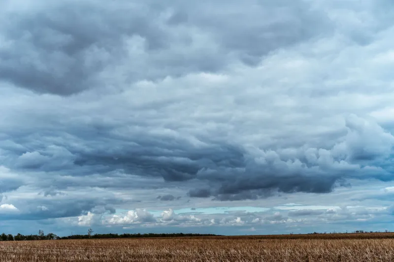 When Nothing Plays: 7 Moments American Storytelling Used Silence Like a Weapon